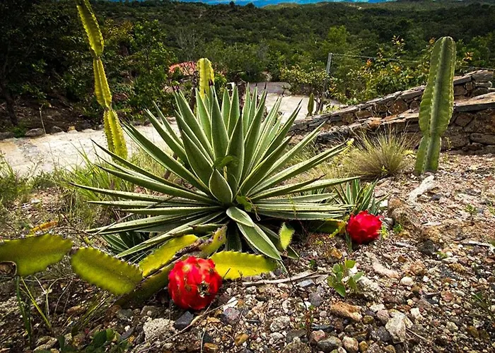 Hotel Destino & Hot Springs - Lujoso En Provincia Guanacaste, San Bernando De Bagaces, 5*